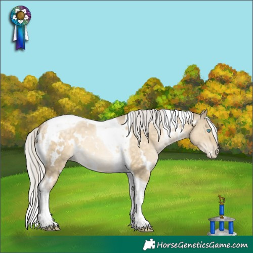 Horse Color:White Spotted Silver Buckskin Pearl Dun Tobiano