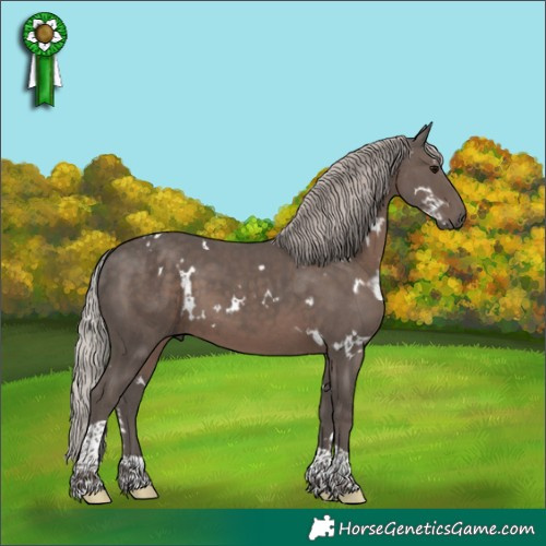 Horse Color:White Spotted Silver Black Tobiano