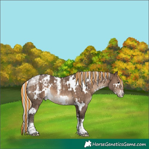 Horse Color:Powder White Painted White Spotted Silver Brown Dun 