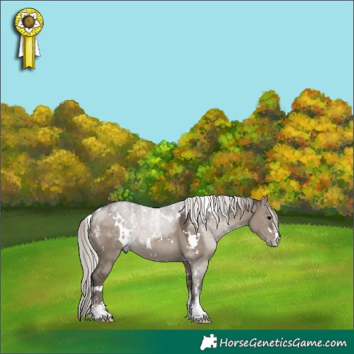 Horse Color:Powder White White Spotted Silver Grullo 