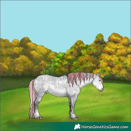 Horse Color:Powder White Painted White Spotted Silver Smoky Grullo Chinchilla 
