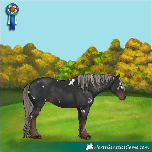 Horse Color:White Spotted Liver Chestnut Mushroom 