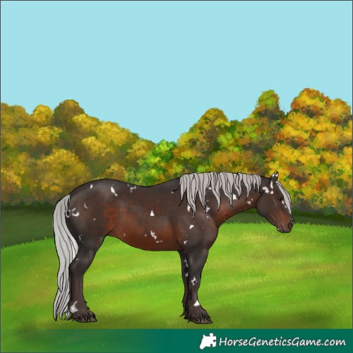 Horse Color:White Spotted Silver Brown Mushroom