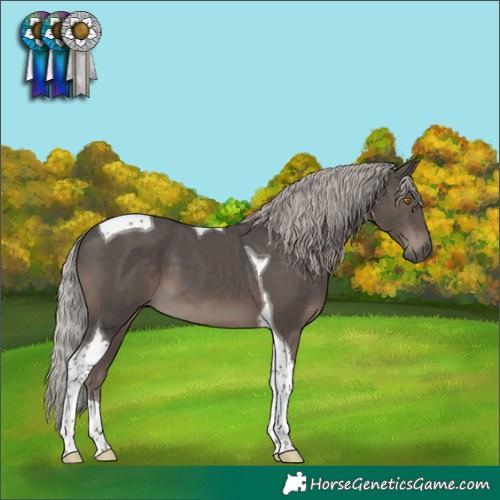 Horse Color:Silver Black Tobiano 