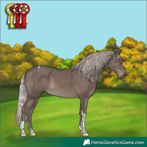 Horse Color:Silver Black Tobiano