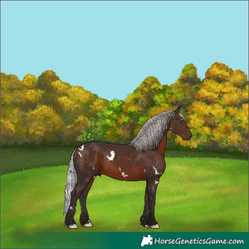 Horse Color:White Spotted Silver Brown 