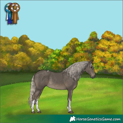 Horse Color:Silver Smoky Black Tobiano 