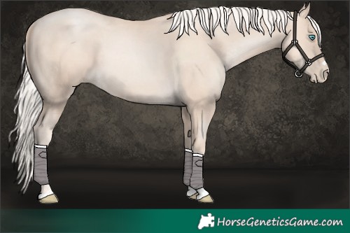 Horse Color:Gold Cream Champagne Pearl 