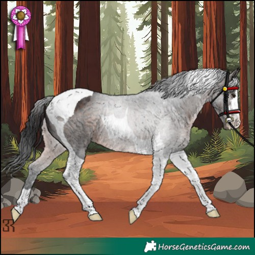 Horse Color:Brown Tobiano Rabicano 