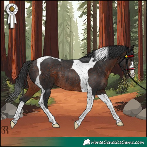 Horse Color:Brown Tobiano Rabicano