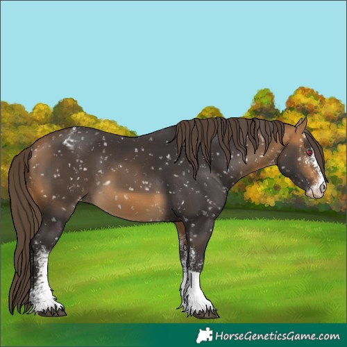 Horse Color:White Spotted Brown Tobiano Snowflake VarnishRabicano