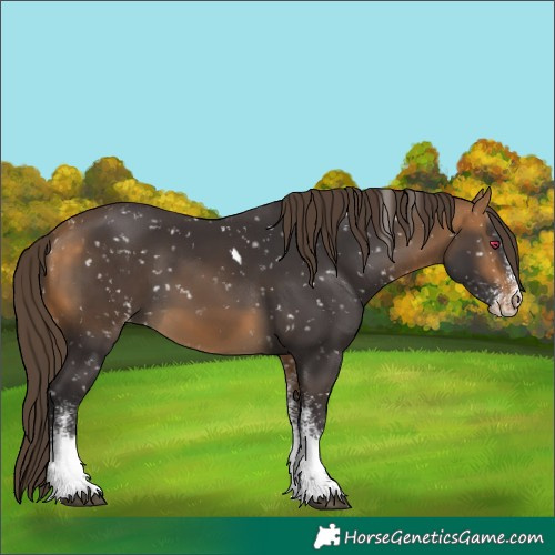 Horse Color:White Spotted Brown Tobiano Snowflake VarnishRabicano 