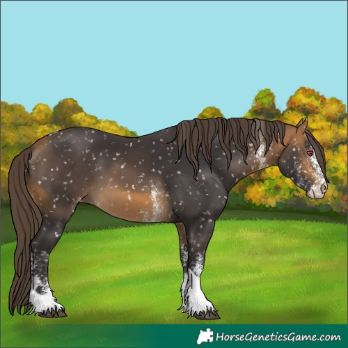 Horse Color:White Spotted Brown Tobiano Snowflake VarnishRabicano 