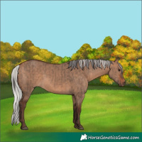 Horse Color:Bay Dun  and Silver Bay Dun 