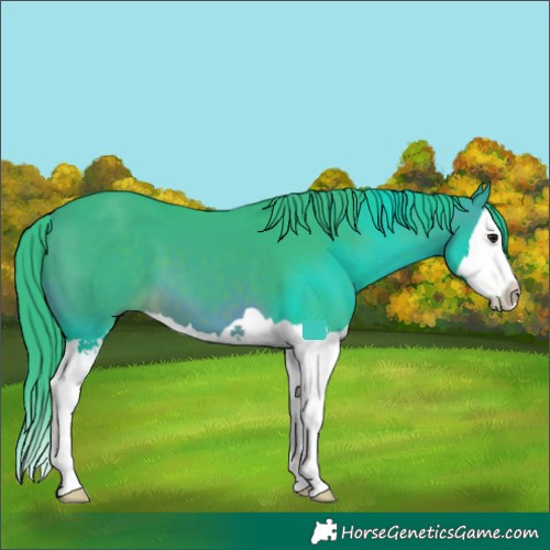 Horse Color:Watercolor Brown Splash
