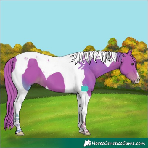Horse Color:Watercolor Liver Chestnut Tobiano