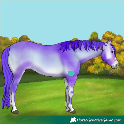 Horse Color:Watercolor Buckskin Onyx 