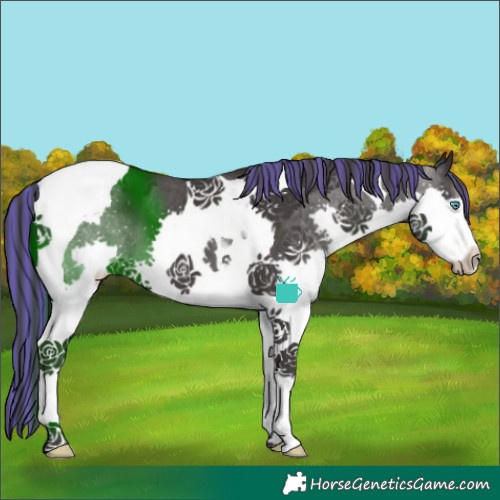 Horse Color:Painted Smoky Black Splash Tobiano