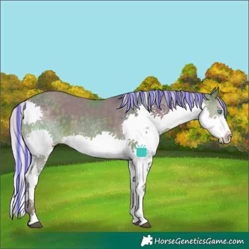 Horse Color:Painted Watercolor Silver Black Splash Tobiano