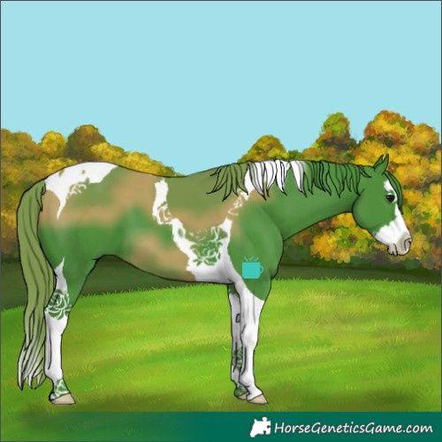 Horse Color:Watercolor Smoky Black Splash Tobiano