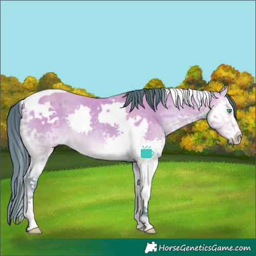 Horse Color:Watercolor Buckskin Onyx Splash Tobiano