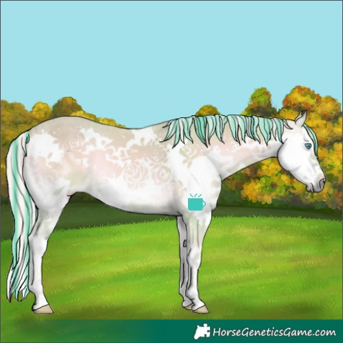 Horse Color:Painted Watercolor Palomino Onyx Splash