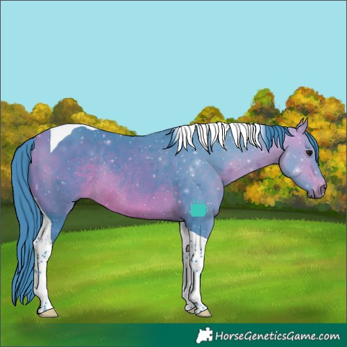 Horse Color:Watercolor Bay Tobiano Rabicano