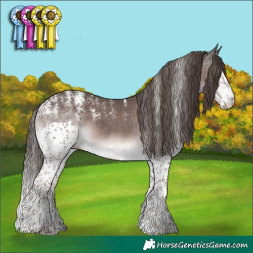 Horse Color:Powder White Platinum Liver Chestnut Splash 