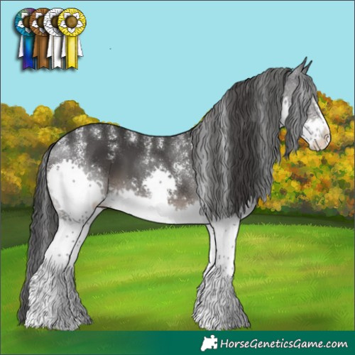 Horse Color:Powder White Black Splash