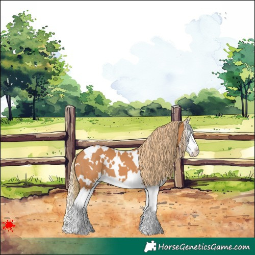 Horse Color:White Spotted Chestnut Splash 