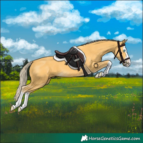 Horse Color:Palomino Splash 