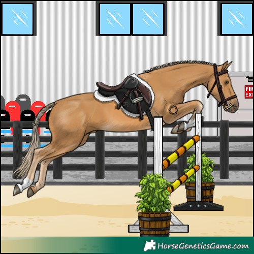 Horse Color:Palomino