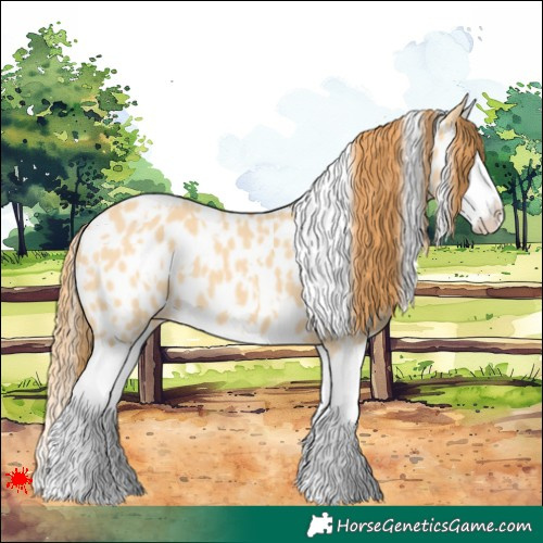 Horse Color:White Spotted Red Dun Splash Near Leopard