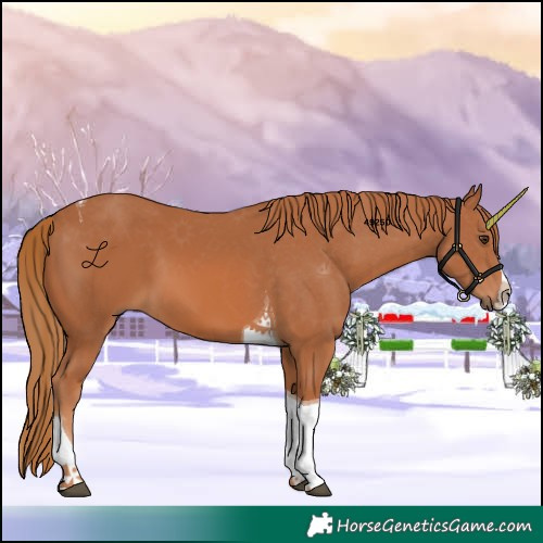 Horse Color:Chestnut Splash Tobiano
