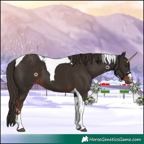 Horse Color:Liver Chestnut Tobiano 