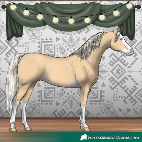 Horse Color:Unknown 