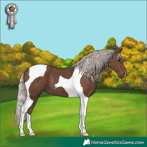 Horse Color:Silver Black Tobiano