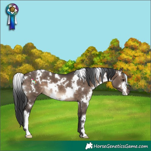 Horse Color:White Spotted Brown Dun 