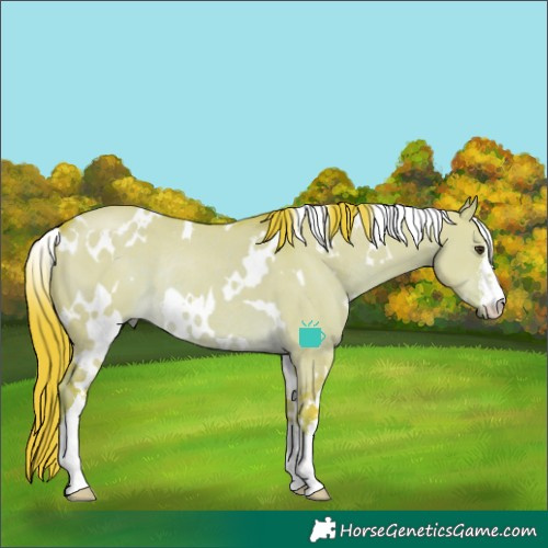 Horse Color:Watercolor White Spotted Liver Red Dun Rabicano 