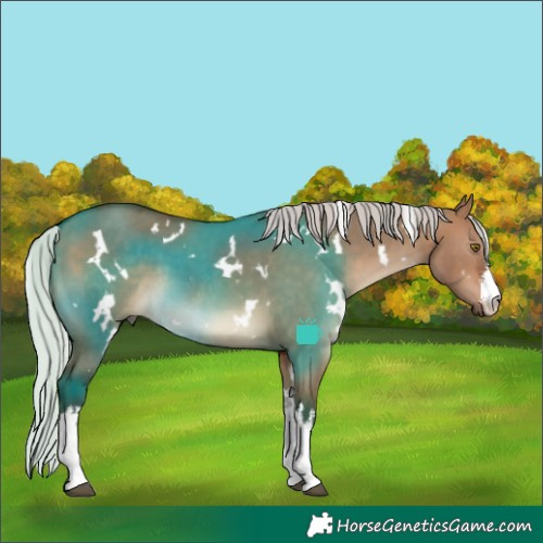 Horse Color:White Spotted Silver Brown Dun 
