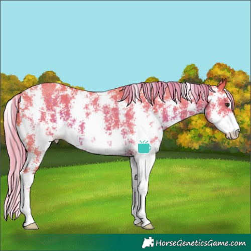 Horse Color:Watercolor Liver Chestnut Sabino 