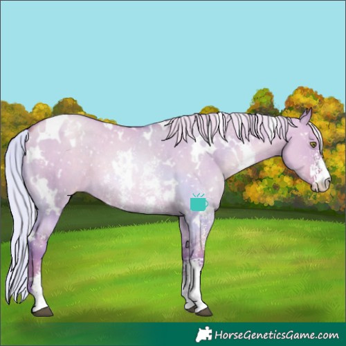 Horse Color:Watercolor White Spotted Silver Grullo Pearl Sabino Appaloosa Rabicano 