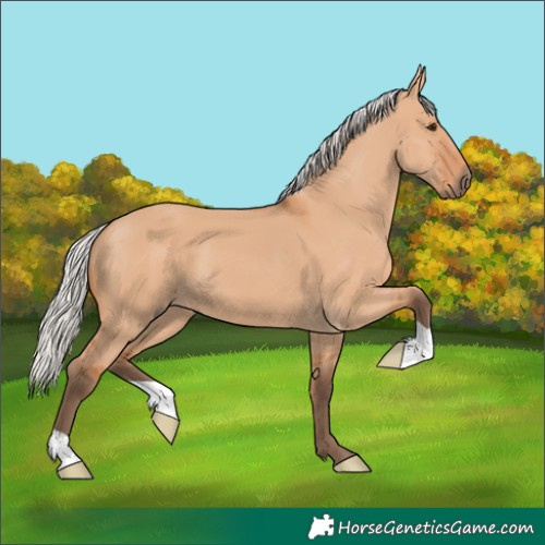 Horse Color:Silver Bay Dun 