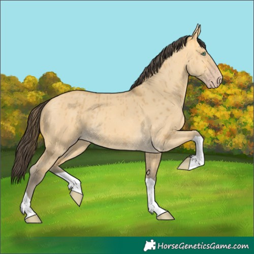 Horse Color:Amber Cream Champagne Dun Brindle