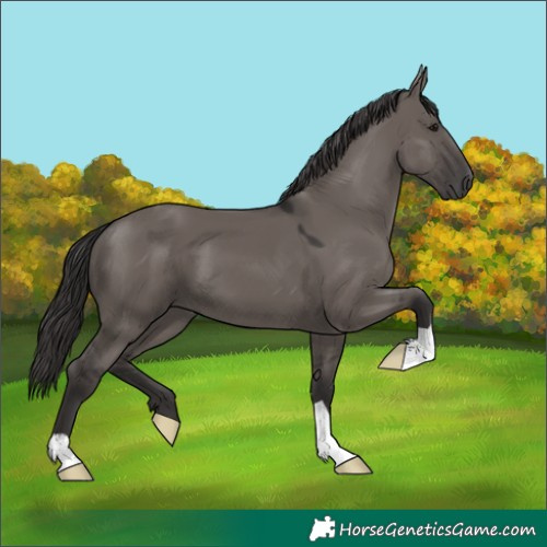 Horse Color:Smoky Grullo