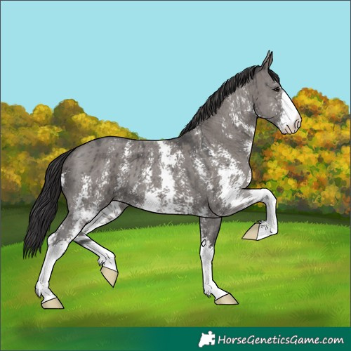 Horse Color:Smoky Grullo Sabino Brindle