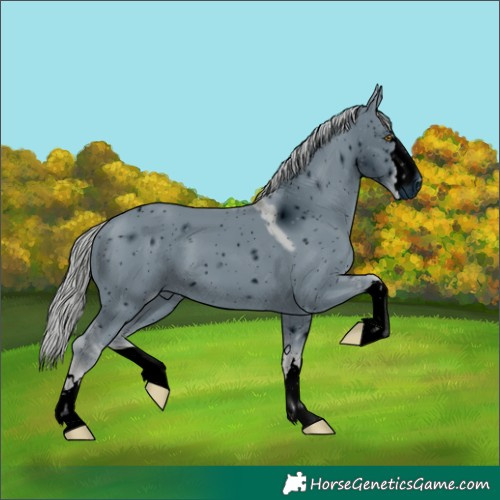 Horse Color:ERROR: UNKNOWN ANOMALY