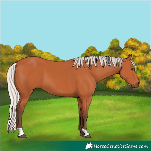 Horse Color:Silver Bay