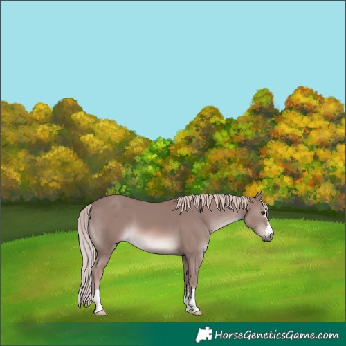 Horse Color:Platinum Chestnut 