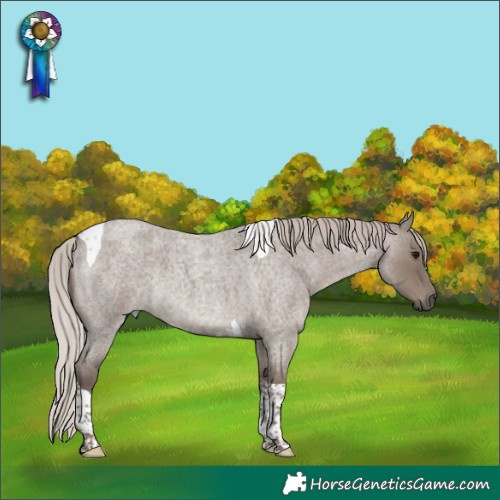 Horse Color:Silver Grullo Roan Tobiano